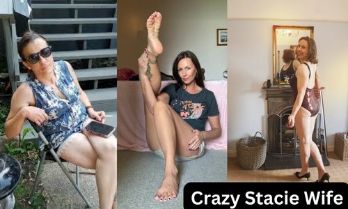 cindy molitoris share jenna haze porn films