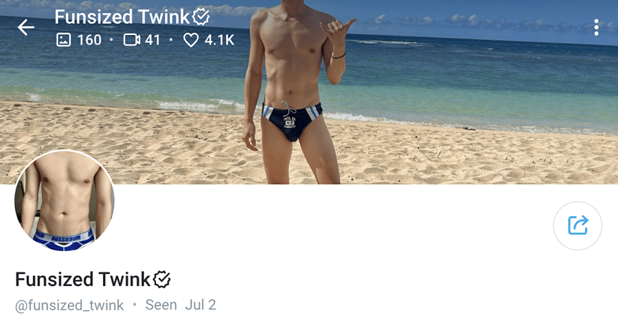 diana kun recommends Fun Twinks