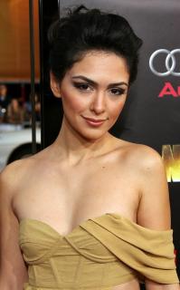 Nazanin Boniadi Naked for msn