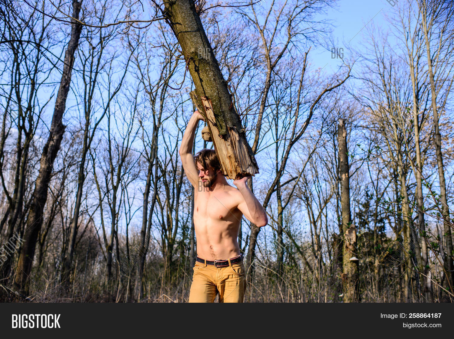 naked lumberjack