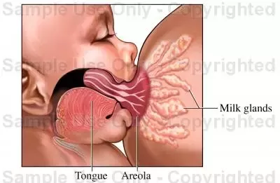 bill edenfield recommends Sucking Large Boobs