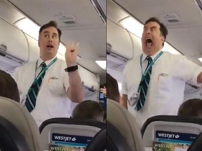 ben moline share flight attendant hand job photos