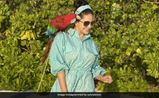 christian ghanem recommends Sunny Leone Glasses