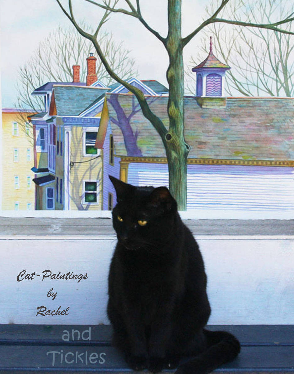 chris habel recommends Black Cat Tickle