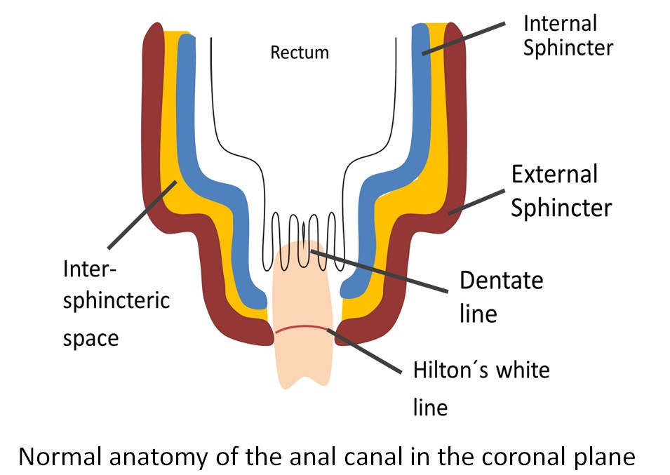 colin coult recommends Anal On A Plane