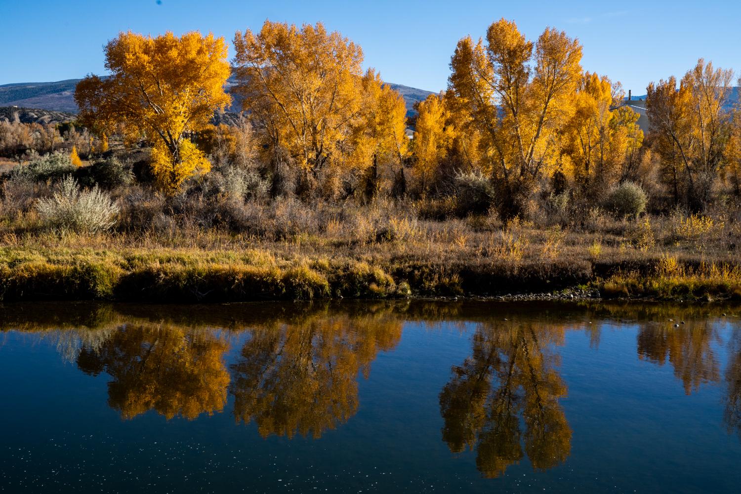 aby matt share colors of autumn leaked photos