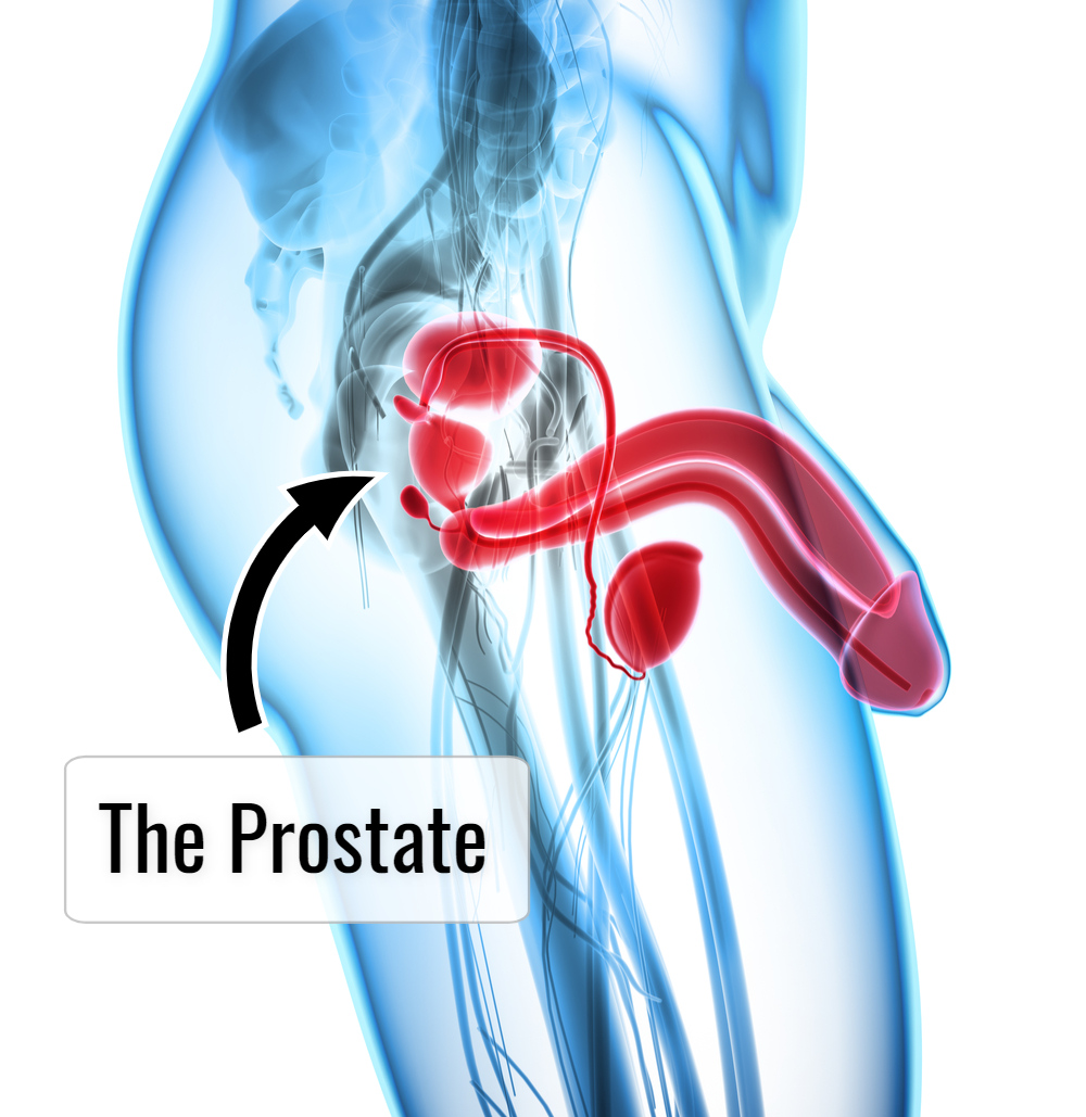 Best of Solo prostate milking