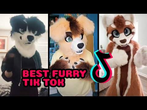 Best of Best furry porn