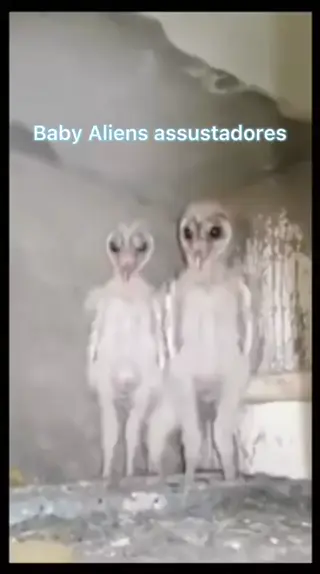 Baby Alien Leak Video Full jenter troms