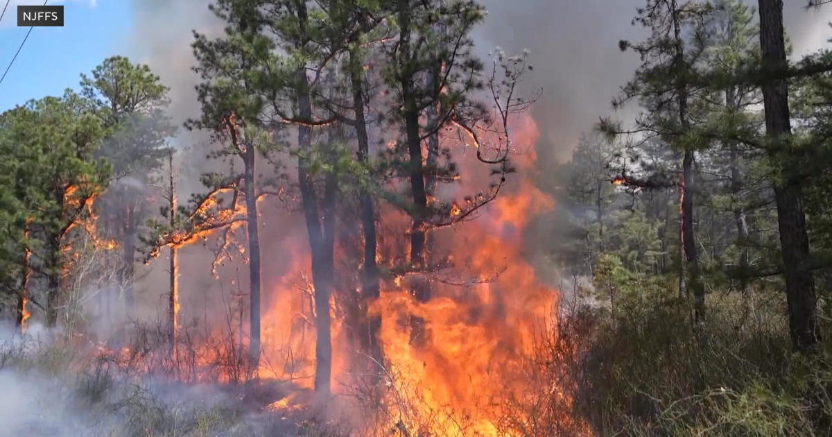 callie rowell share alexandra wildfire photos