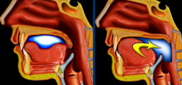 debbie tea recommends anal and swallowing pic