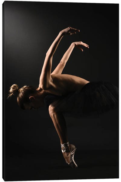 cathy meeker recommends ballerina nude dance pic