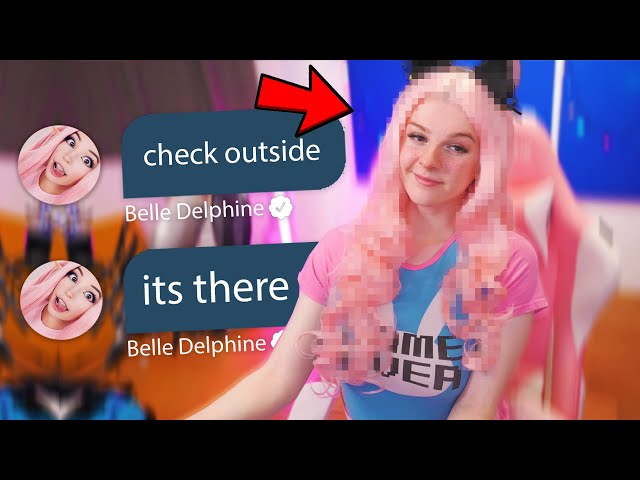 david zitter share belle delphine and finnster photos