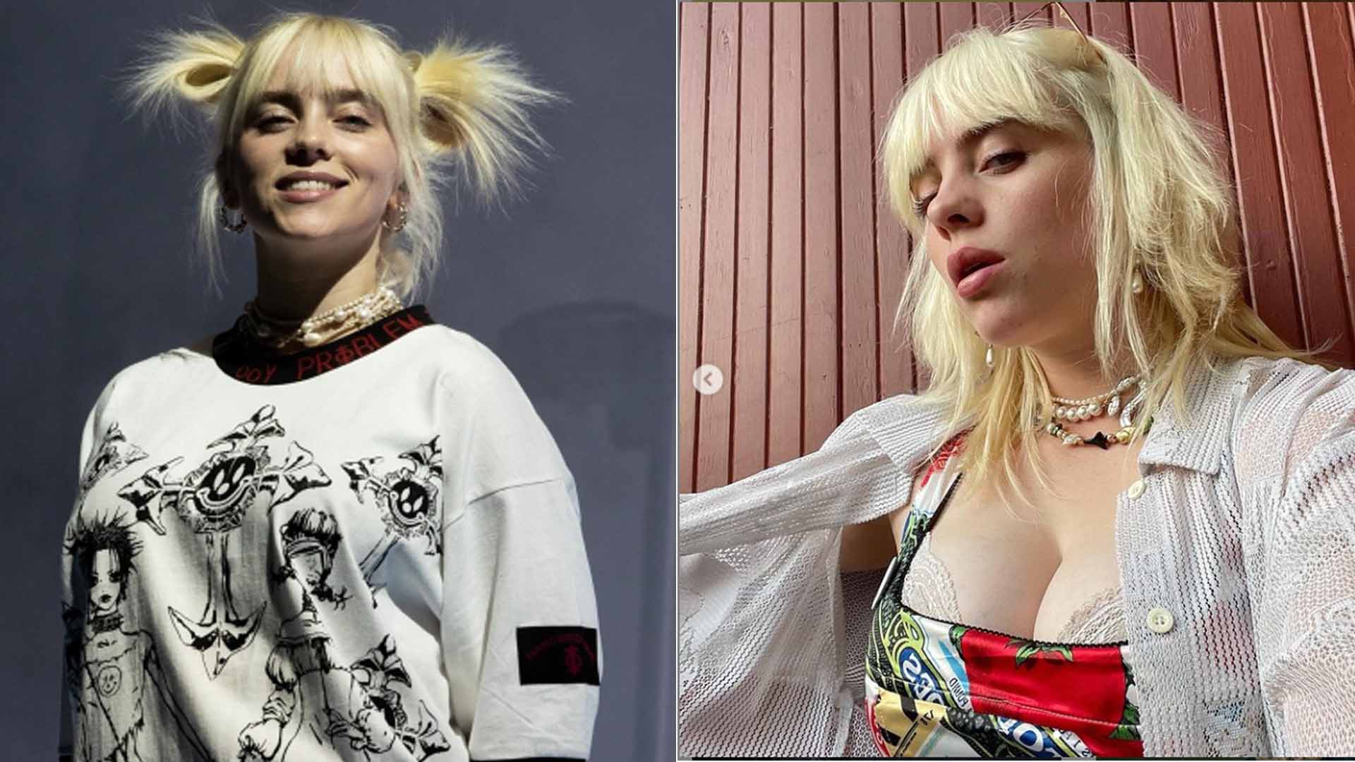 diana meldrum recommends Billie Eilish Huge Titties