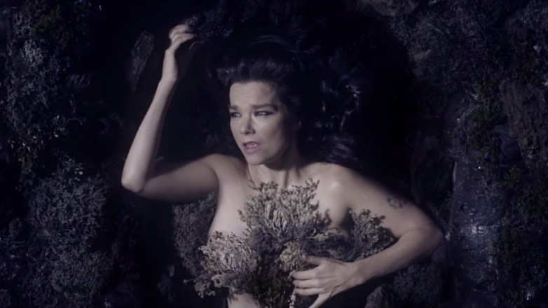 barbara bozzi recommends Bjork Naked