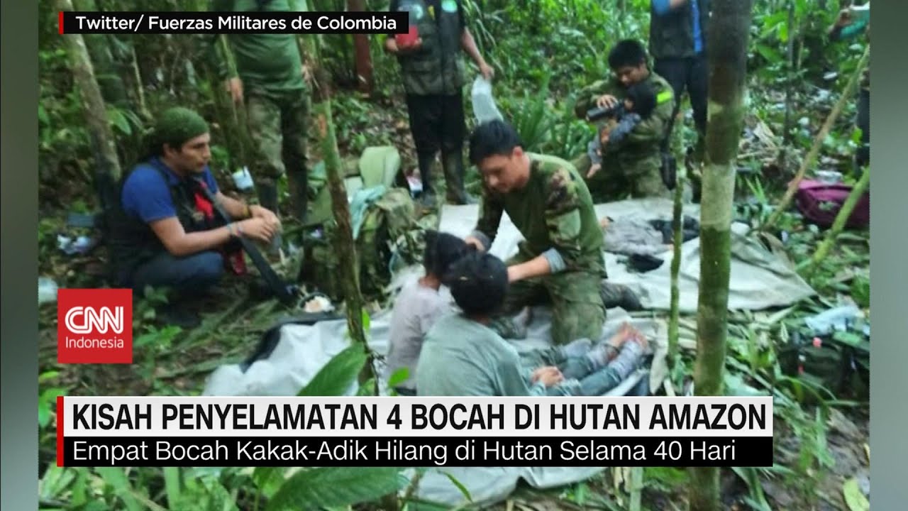 amanda delgadillo recommends Bokep Di Hutan