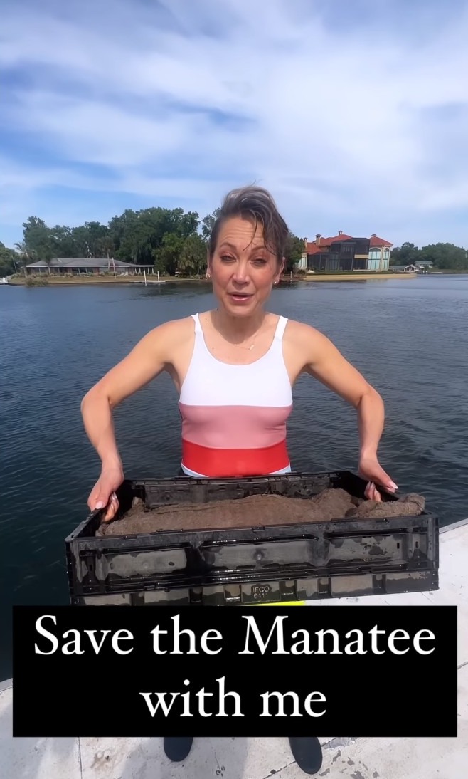 barbara balbo add photo ginger zee in bikini