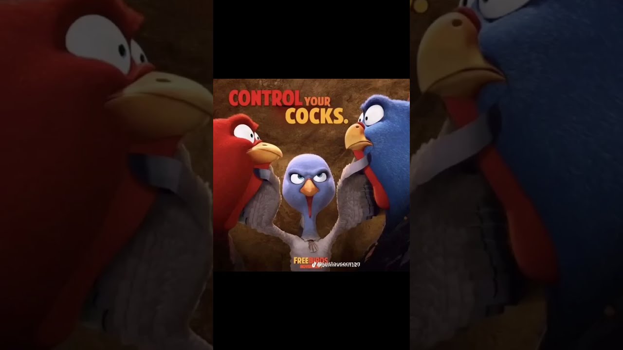 daniela torre recommends Control Your Cocks