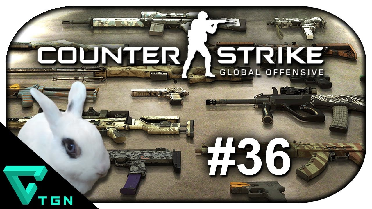 chris martinsen add counter strike global offensive porn photo