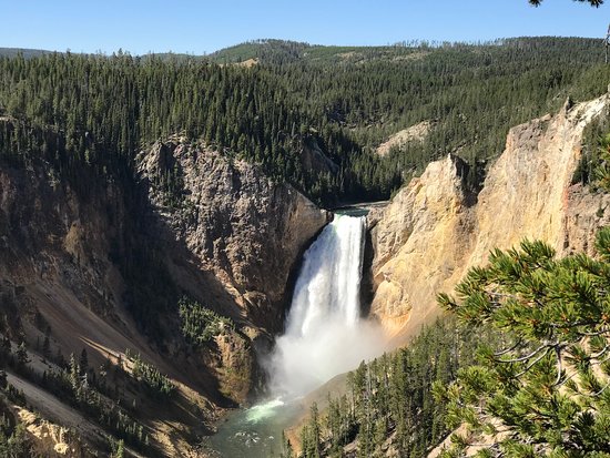 abdallah shaaban recommends Yellowstone Naked