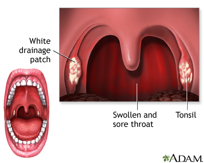 angel muller recommends deep throat throat bulge pic