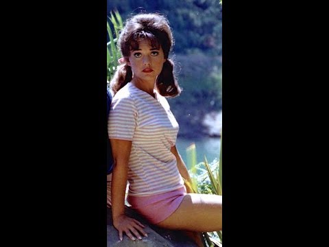 andrew maul recommends dawn wells in a bikini pic