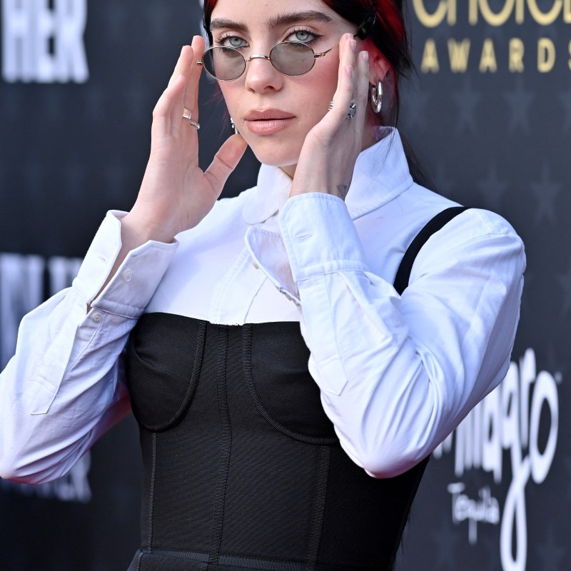 andriyono raharjo recommends Billie Eilish Boob Job