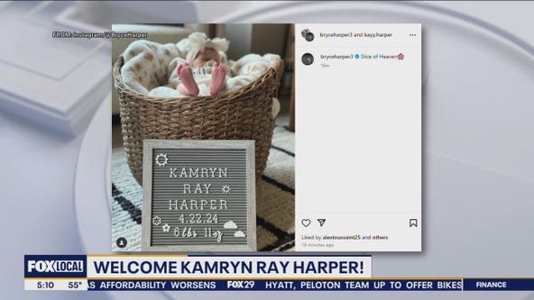 dayana ortiz recommends harper the fox videos pic