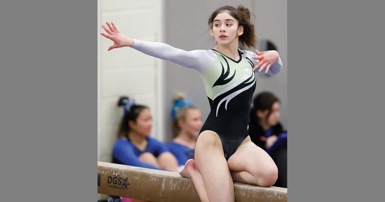 dave pelfrey recommends Dgs Gymnastics