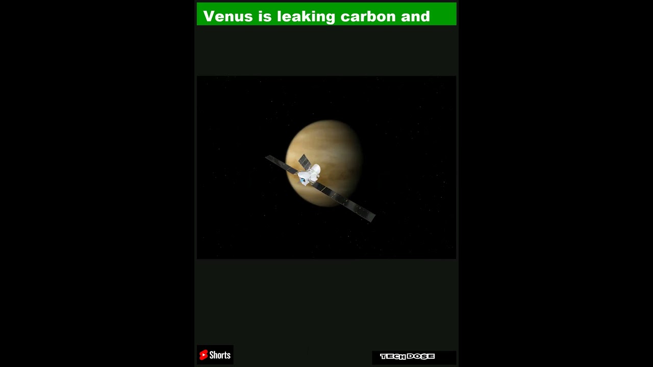 benjamin del rio recommends venus leaked pic