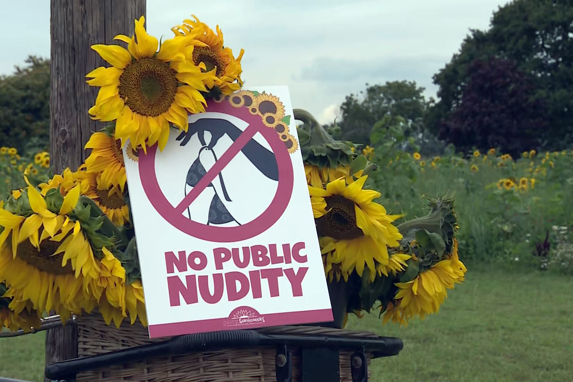 beverley franklin recommends nude farm pic