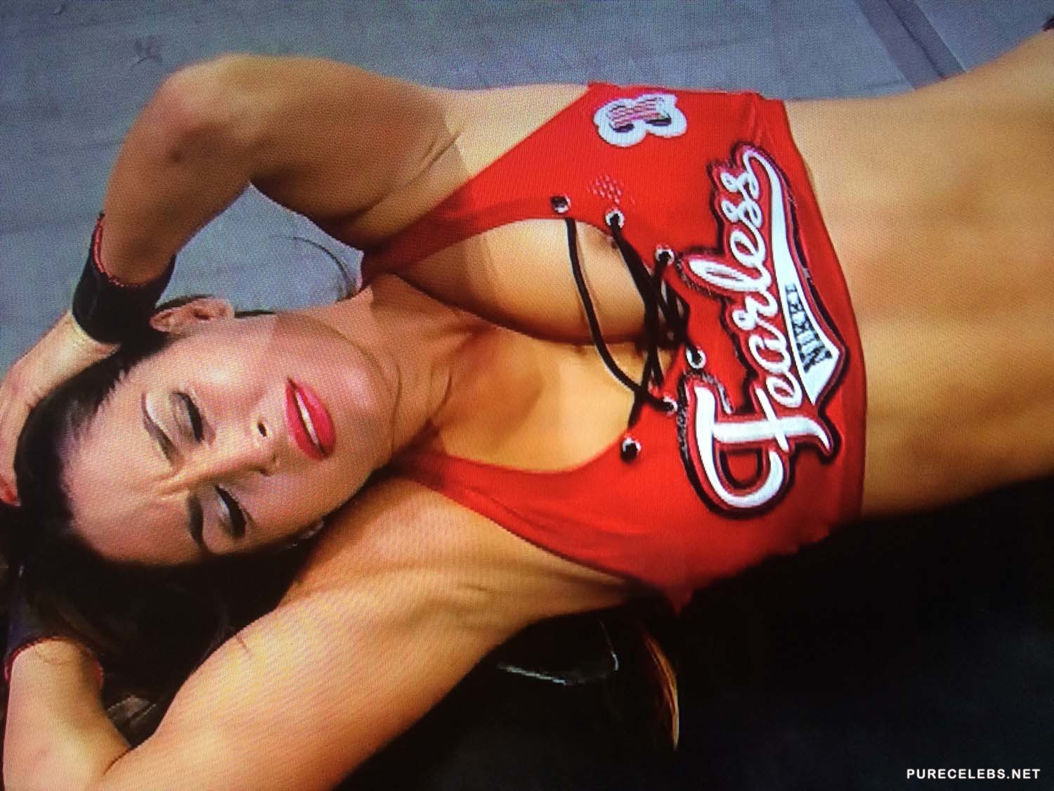 carol didonna recommends Nikki Bella Cameltoe