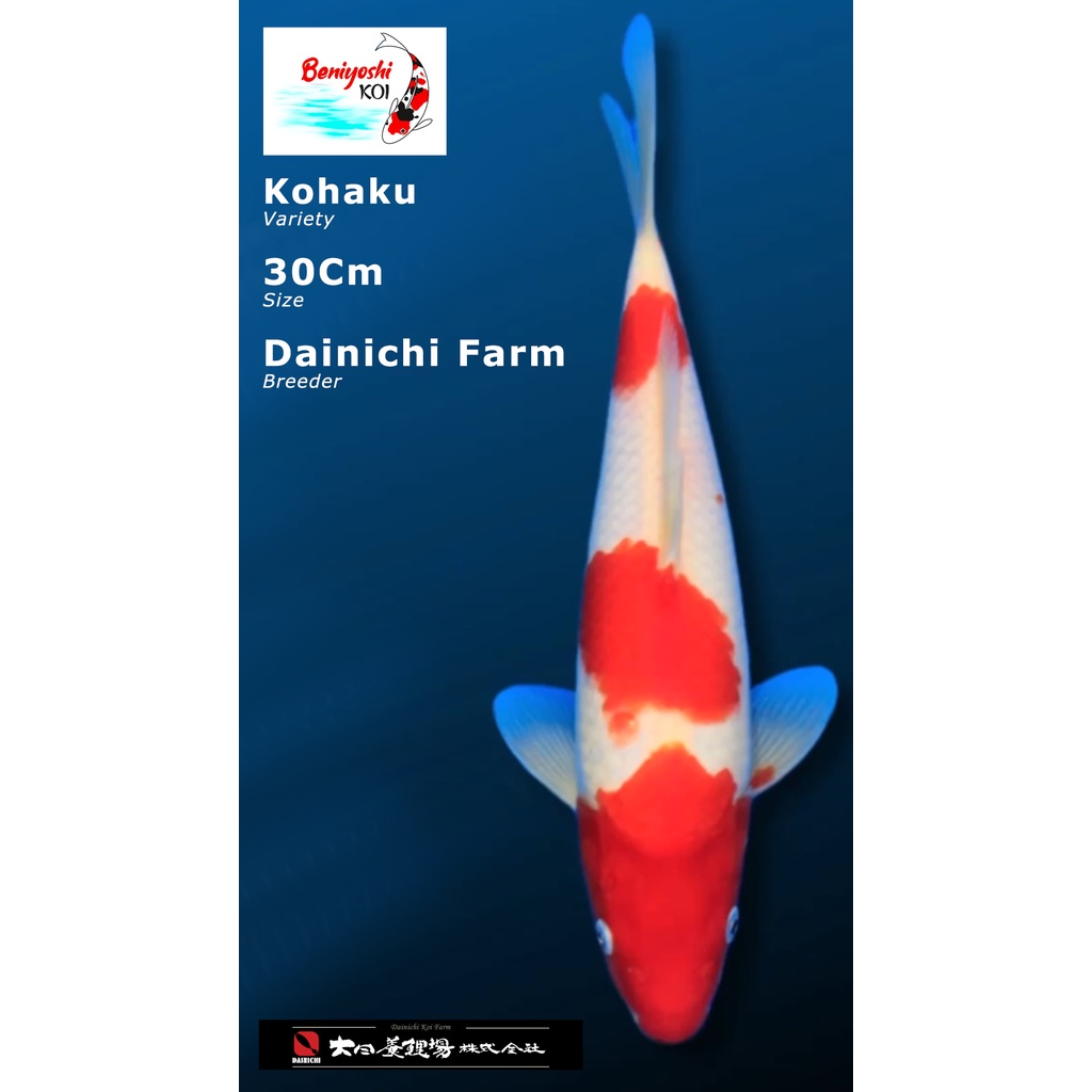 dana hopkins add kohaku porn photo