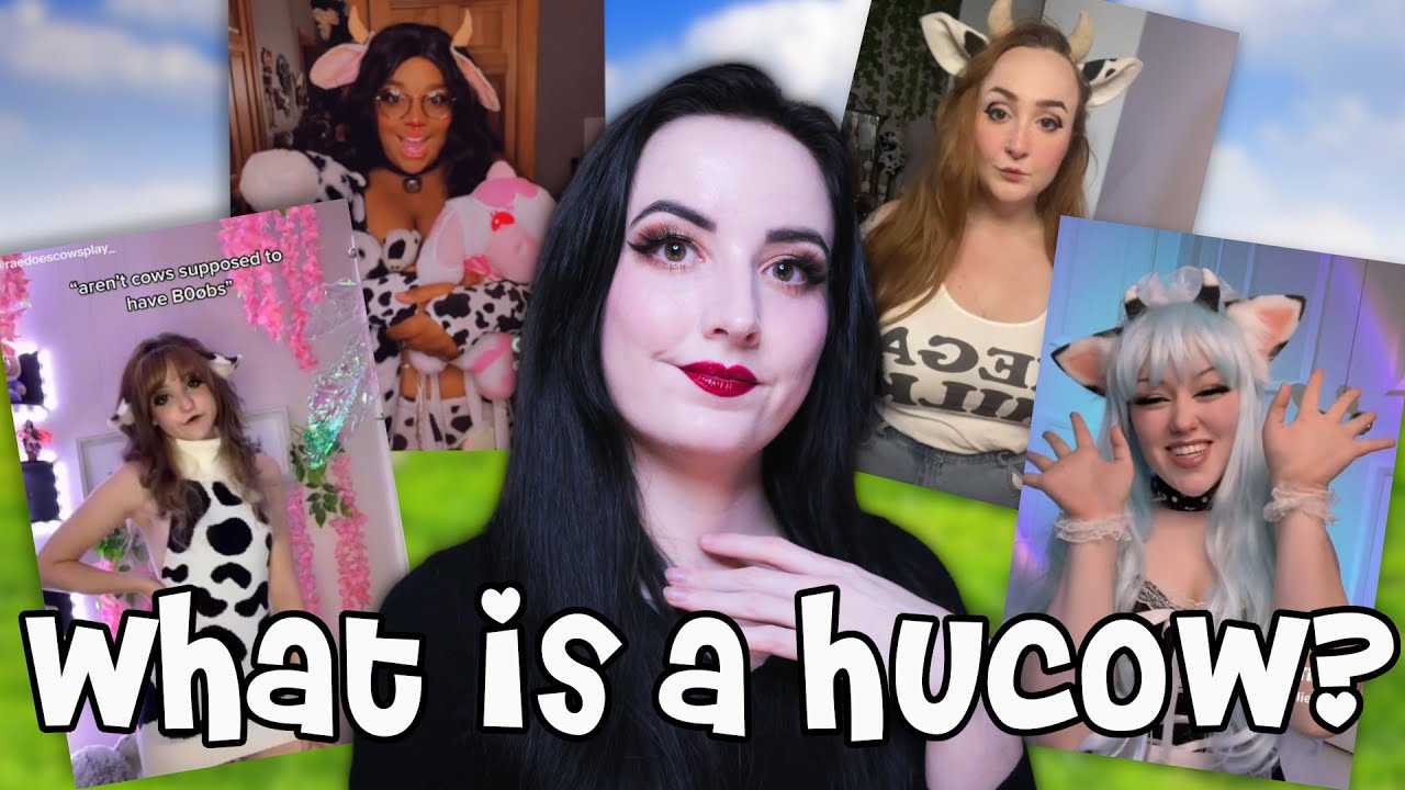 cassidy raciappa recommends what is hucow pic