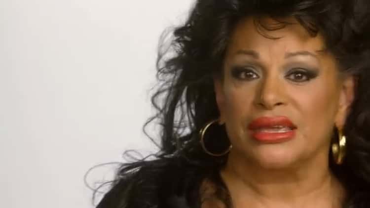 brad john recommends Vanessa Del Rio Free Videos