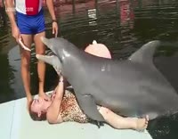 bill morison recommends female dolphin porn pic