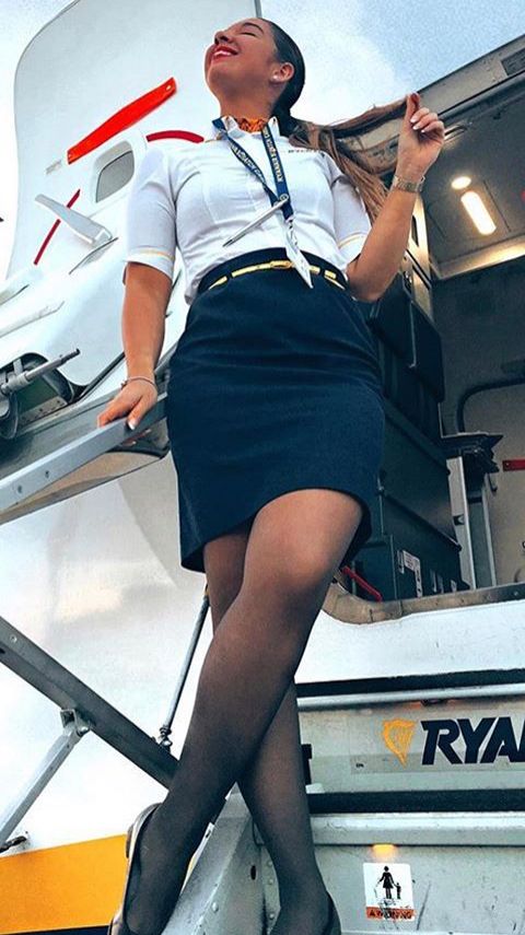 chris loth recommends flight attendant up skirt pic