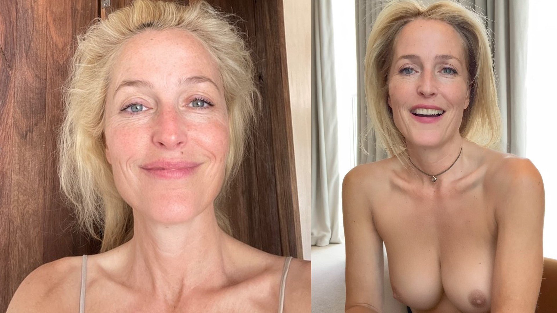 deanna hagen recommends gillian anderson nude pics pic