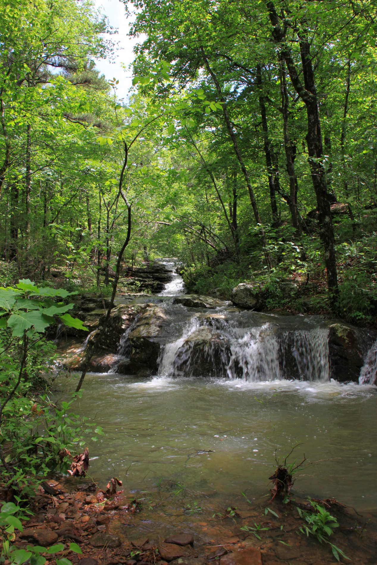 basha khan recommends Glory Holes In Michigan