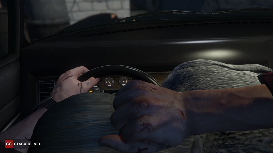 don mccarter recommends gta 5 blowjob pic