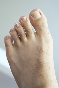 brian vetter recommends Guys With Hairy Feet