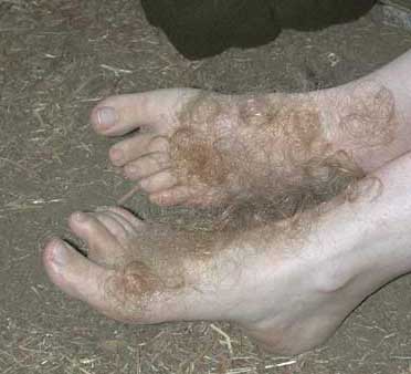 abdullah wijaya add guys with hairy feet photo