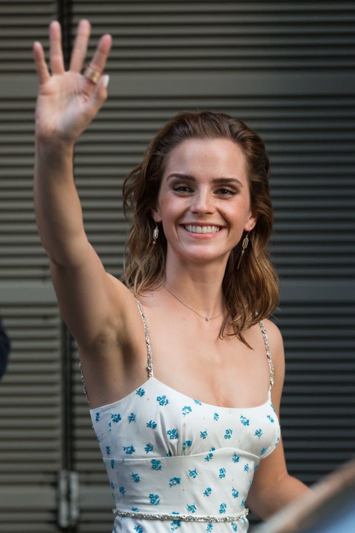 chadwick wilson recommends hairy emma watson pic