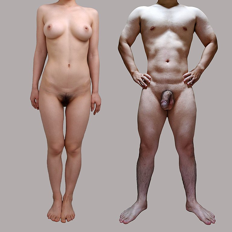 ben harriman recommends japanese nude woman pic