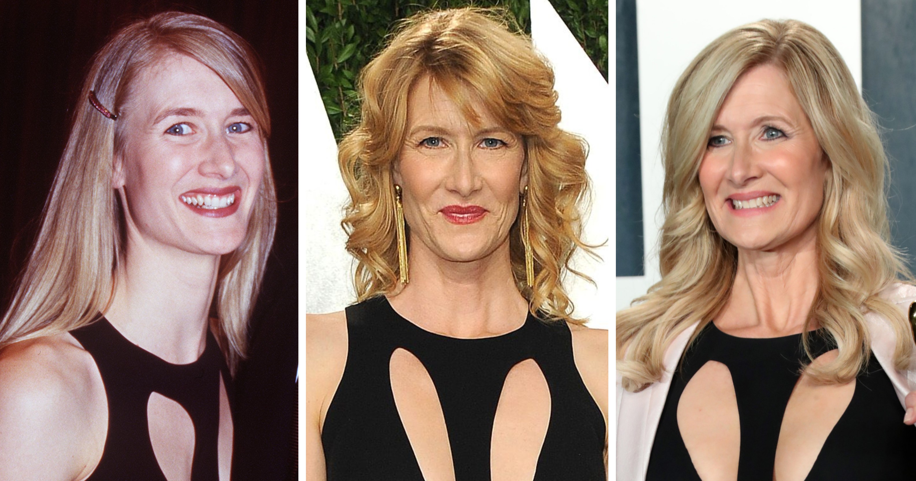 deborah boylan add laura dern in bikini photo