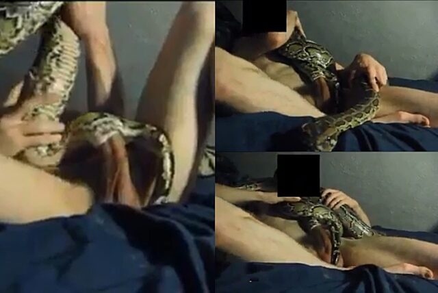 bj tarr share man fucks snake photos