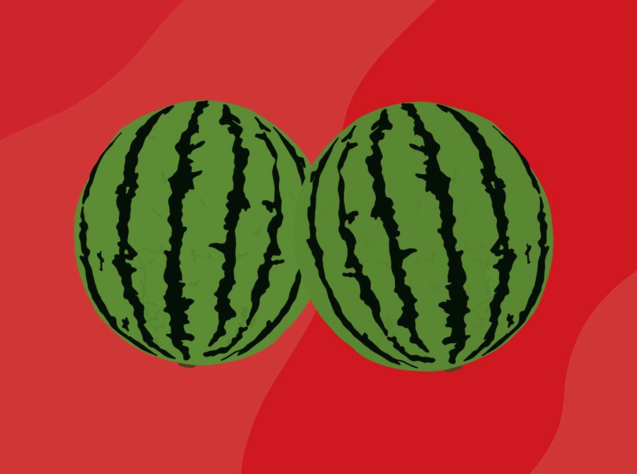 carrie huston recommends massive melon tits pic