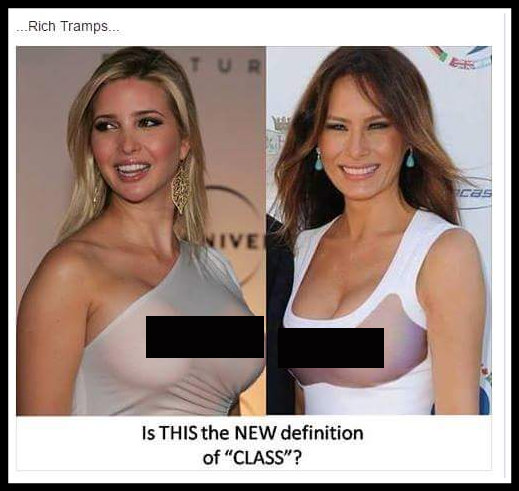 david vanderweele recommends Melania Trumps Titties