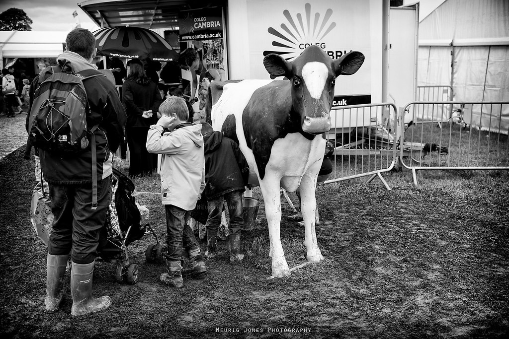 christo visagie recommends Milking Cam