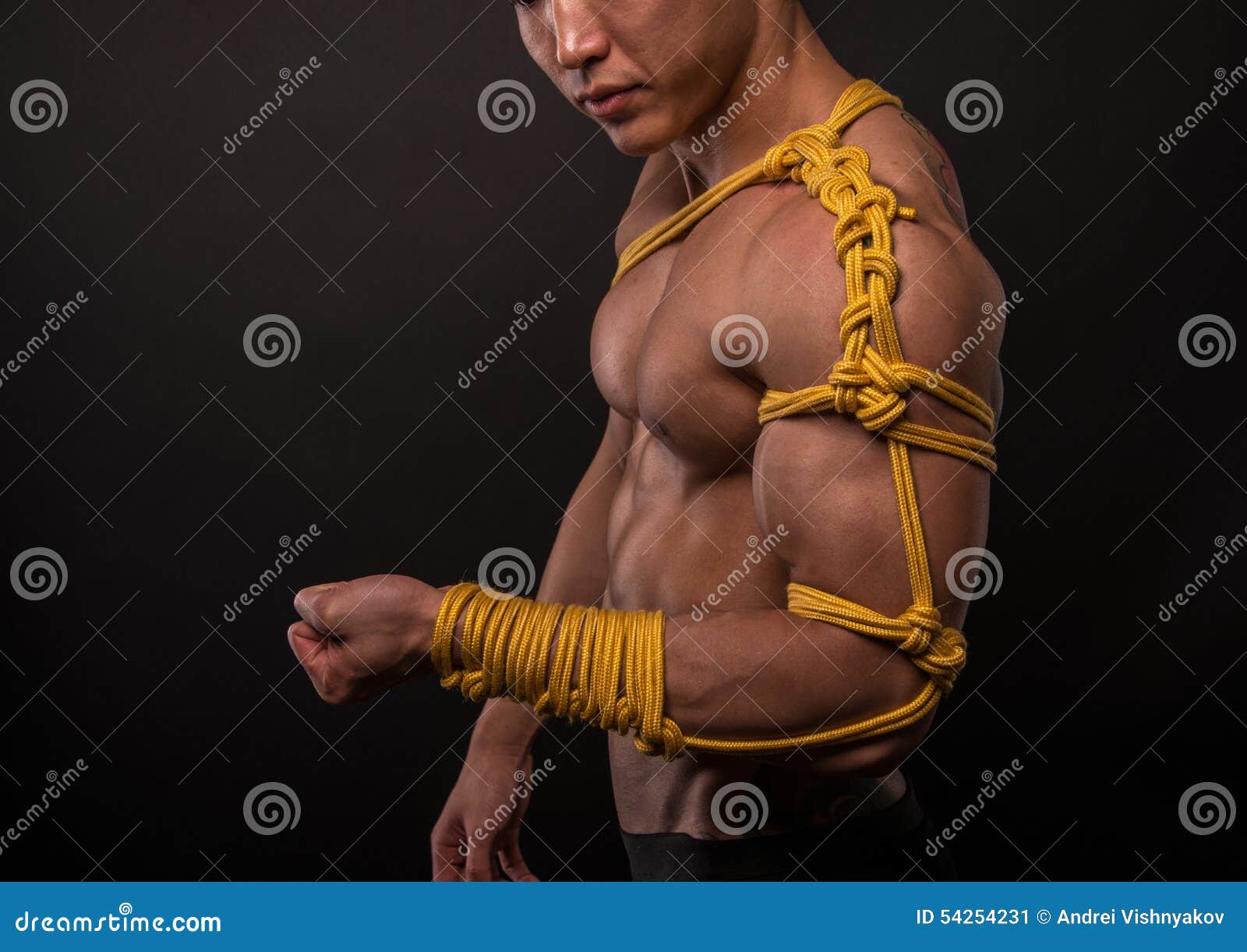 anca sas recommends muscular male bondage pic